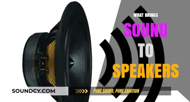How Speakers Transform Electrical Signals into Audible Sound Waves