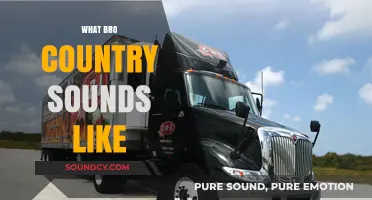 What Bro Country Sounds Like: Twangy Trucks, Beer, and Heartache