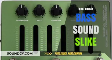Unraveling the Unique Distortion: What a Broken Bass Sounds Like