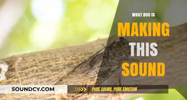 Unusual Noises: Bugs Revealed by Their Sounds
