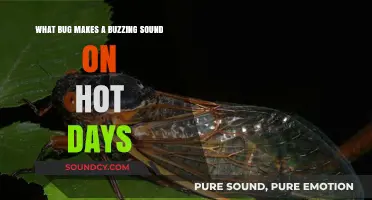 Summer's Tiny Philharmonic: The Cicada's Hot Day Serenade