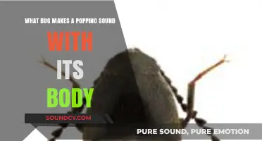 The Surprising Culprit Behind Nature's Popping Sounds: A Bug's Unique Defense Mechanism