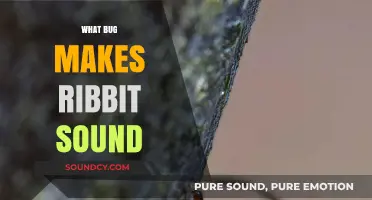Unveiling the Tiny Creature Behind the Iconic Ribbit Sound