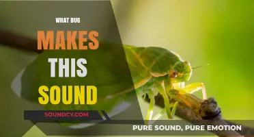 Unveiling the Tiny Creature Behind That Mysterious Nighttime Noise