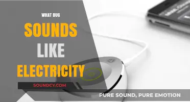 Unveiling the Mystery: Which Bug Mimics Electric Buzzing Sounds?