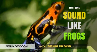 Unveiling the Mystery: Insects That Mimic Frog Sounds in Nature