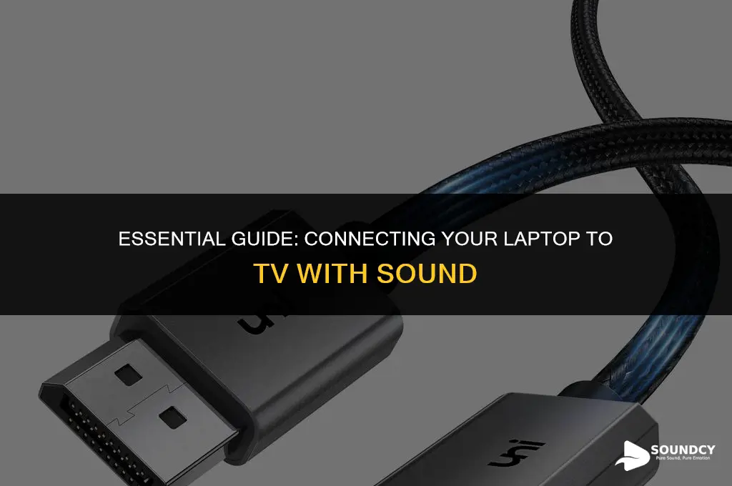 what cable to connect laptop to tv with sound