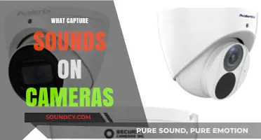How Cameras Capture Sounds: Exploring Audio Recording in Photography