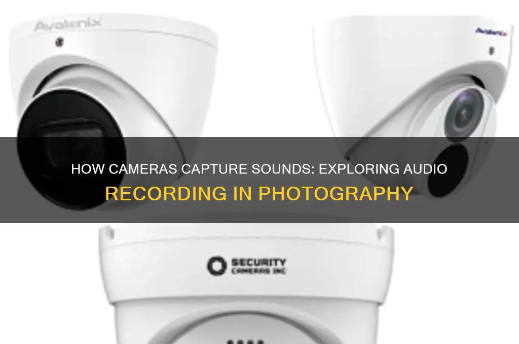 what capture sounds on cameras