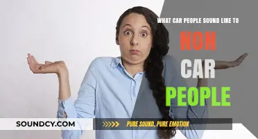 Decoding the Jargon: What Car Enthusiasts Say vs. What Non-Car Folks Hear