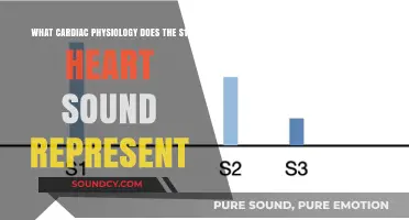 Understanding S1 Heart Sound: Insights into Cardiac Physiology and Function