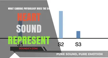 Decoding the S4 Heart Sound: Insights into Cardiac Physiology