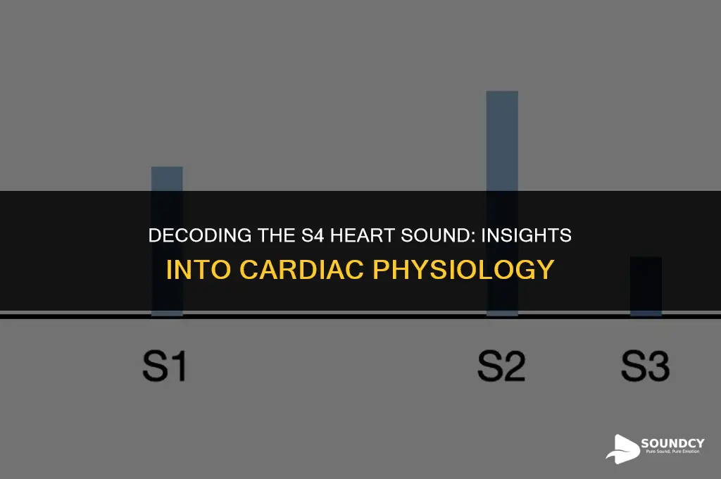 what cardiac physiology does the s4 heart sound represent