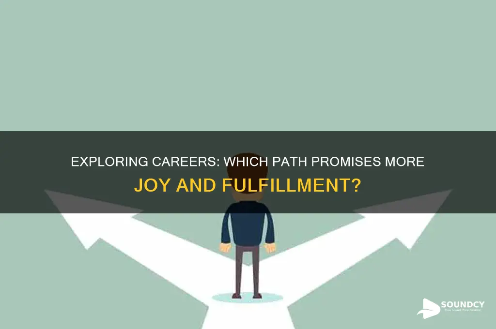 what career sounds more enjoyable