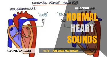 Understanding the Origins of Normal Heart Sounds: A Comprehensive Guide