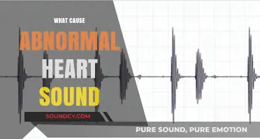 Understanding Abnormal Heart Sounds: Causes and Potential Underlying Conditions