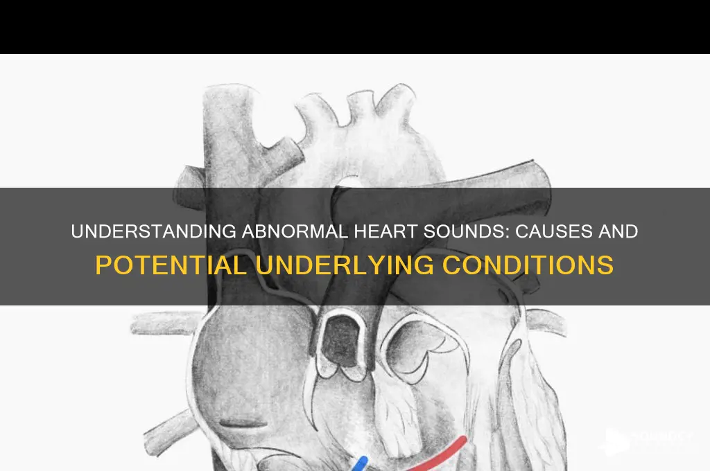 what cause abnormal heart sound