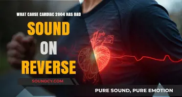 Decoding the Mystery: Why Cardiac 2004 Sounds Distorted in Reverse