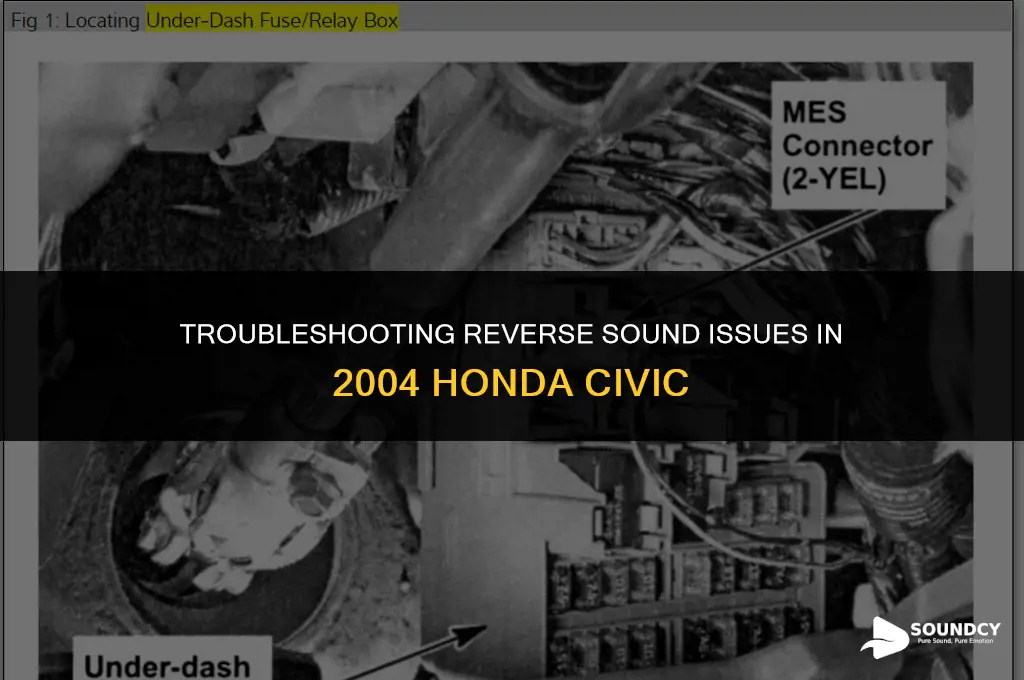 what cause cardilac 2004 has bad sound on reverse