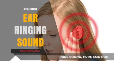 Understanding Tinnitus: Causes of Persistent Ear Ringing Explained