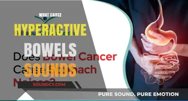 Understanding Hyperactive Bowel Sounds: Causes and Contributing Factors Explained