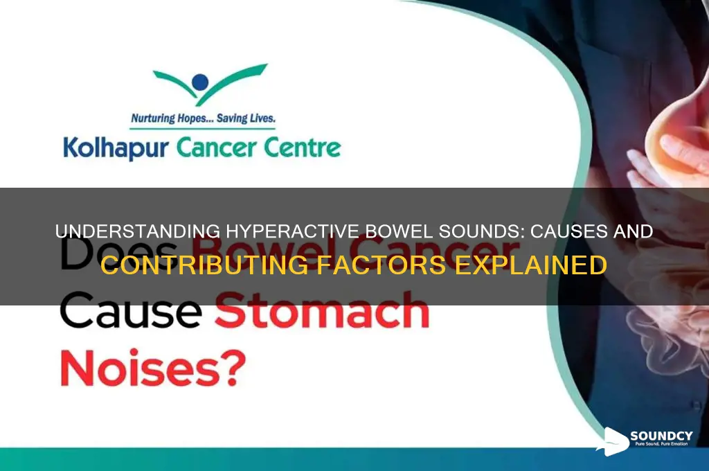 what cause hyperactive bowels sounds