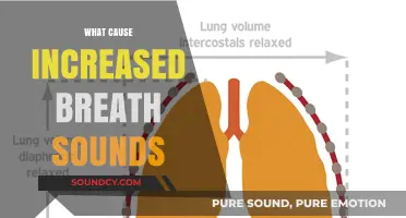 Understanding Increased Breath Sounds: Causes and Underlying Respiratory Conditions