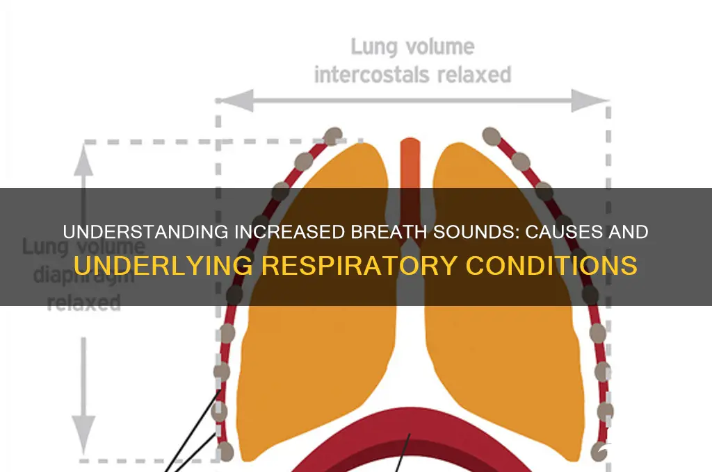 what cause increased breath sounds
