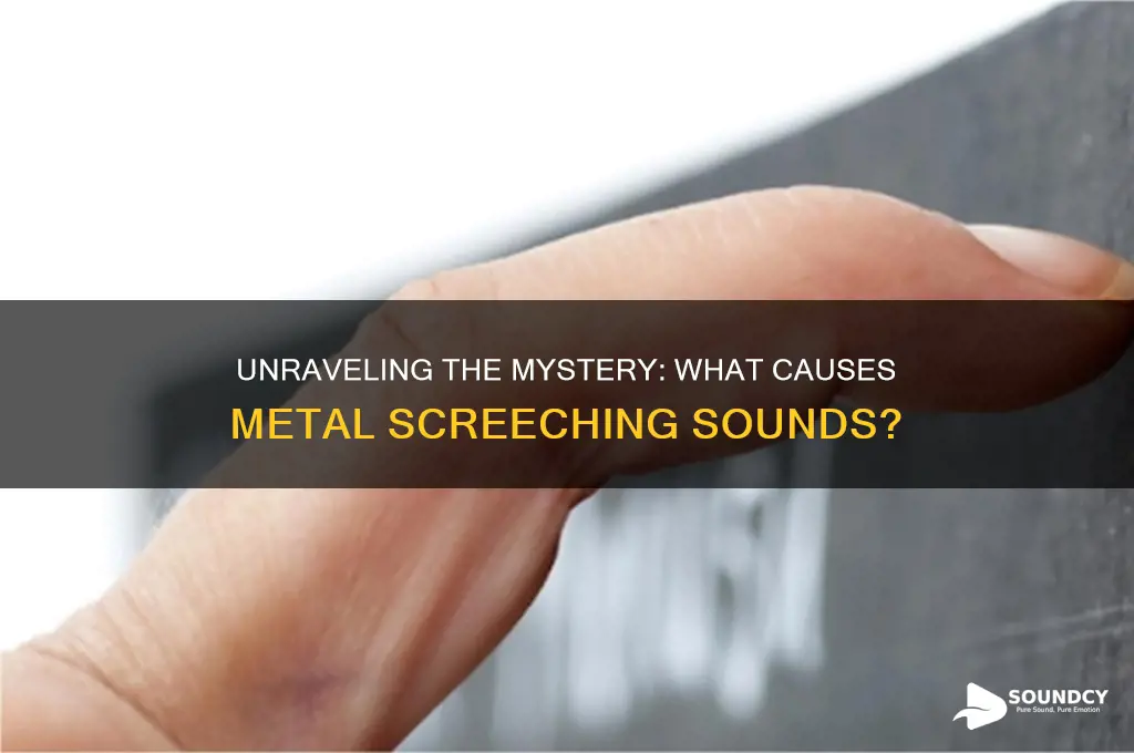 what cause metal screeching sound