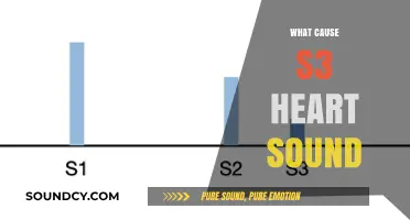 Unraveling the Causes of S3 Heart Sound: A Comprehensive Guide