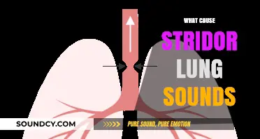 Understanding Stridor: Causes of Abnormal Lung Sounds Explained