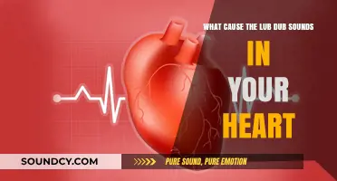 Understanding the Lub-Dub: Exploring the Sounds of Your Heart