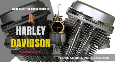 Revving Up the Mystery: What Causes the Raggy Sound of a Harley Davidson?