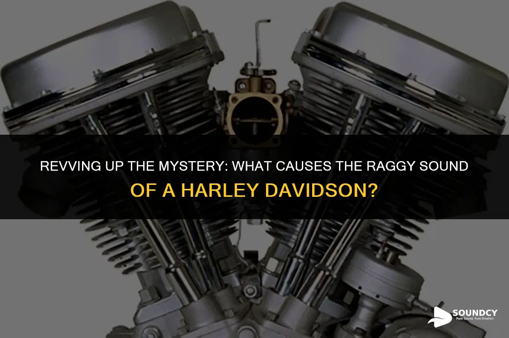 what cause the raggy sound of a harley davidson