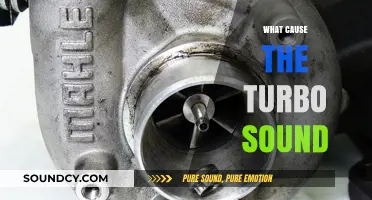 Unraveling the Turbo Sound: Causes and Mechanics Behind the Whine
