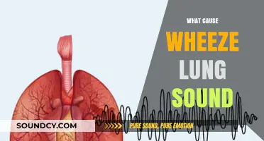 Understanding Wheezing: Causes of Abnormal Lung Sounds Explained