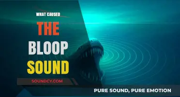 Unraveling the Mystery: What Caused the Elusive Bloop Sound?