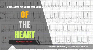 Unraveling the Mystery: What Causes the Double Beat Sounds of the Heart?