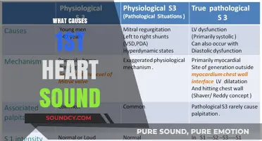 Understanding the Origin and Mechanism of the First Heart Sound