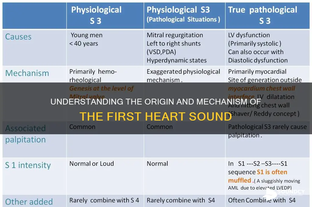 what causes 1st heart sound
