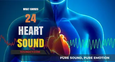 Unraveling the Mystery: Causes of the 24th Heart Sound Explained