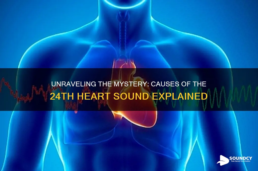 what causes 24 heart sound