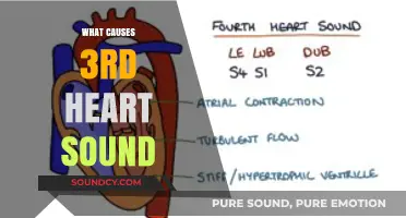 Understanding the Causes of the Third Heart Sound: A Comprehensive Guide