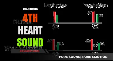 Uncovering the Causes of the Fourth Heart Sound: A Comprehensive Guide