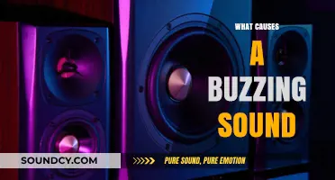 Unraveling the Mystery: What Causes That Annoying Buzzing Sound?
