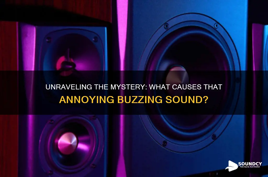 what causes a buzzing sound