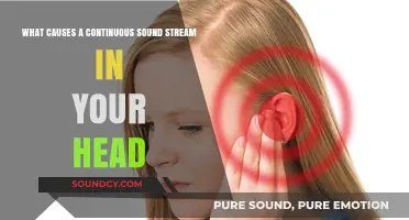 Unraveling the Mystery: What Causes Continuous Sound Streams in Your Head?