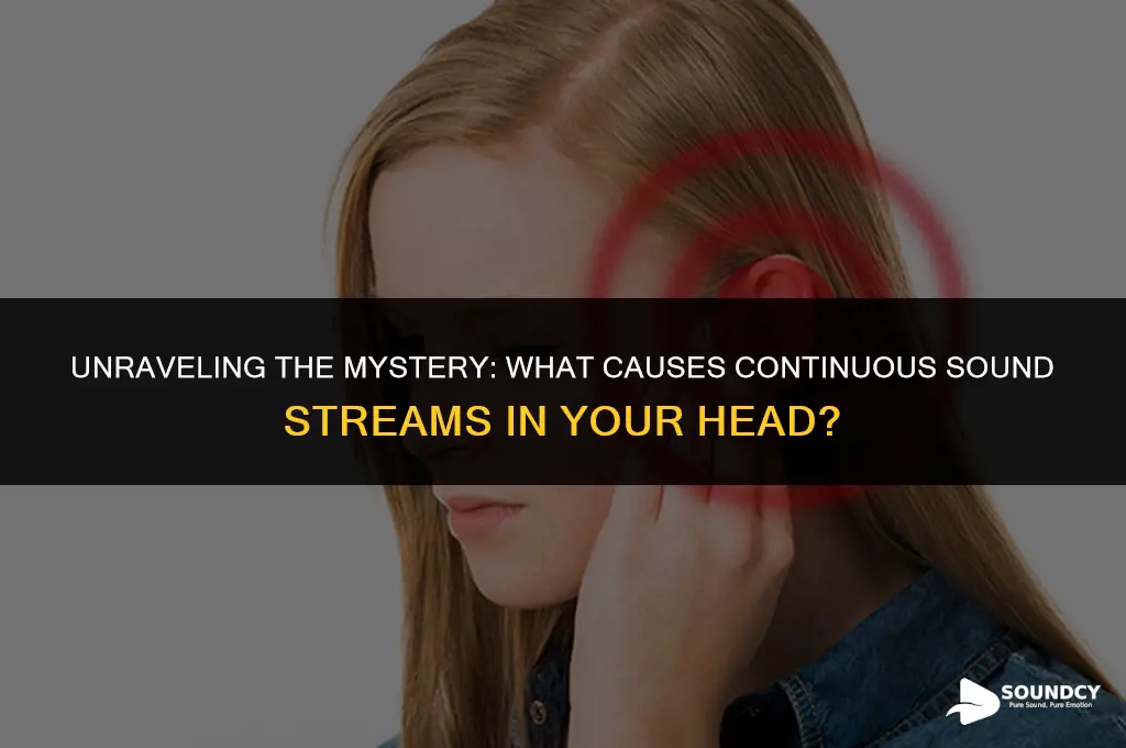 what causes a continuous sound stream in your head