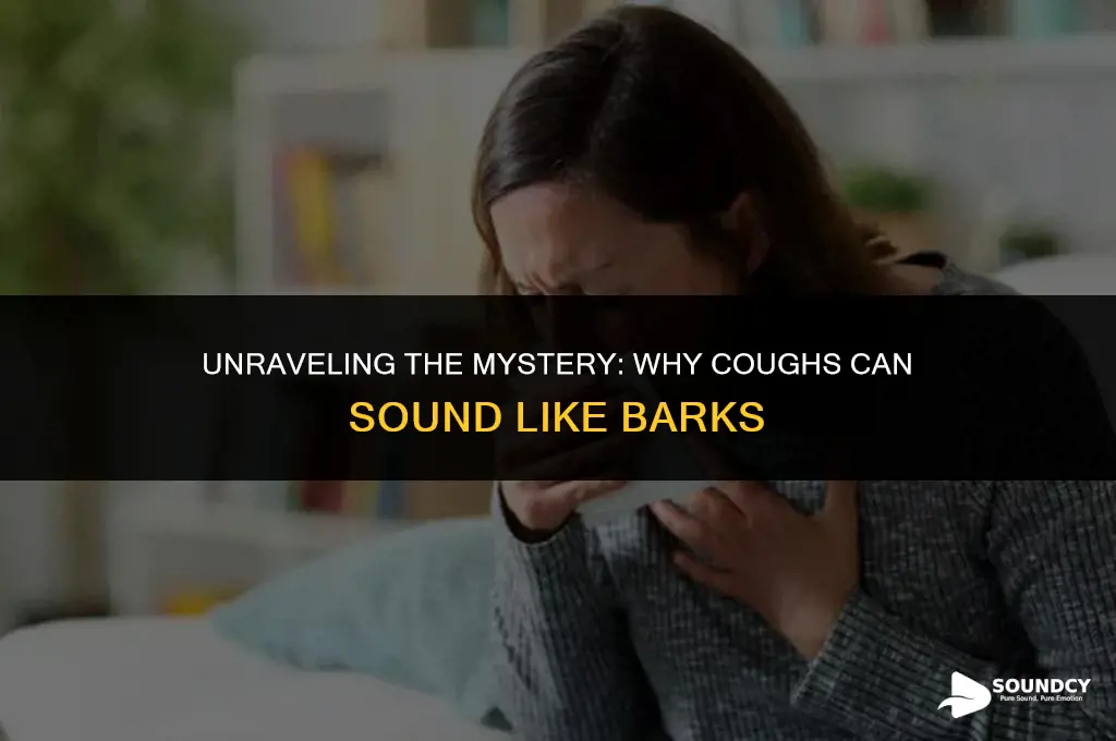 what causes a cough to sound like a bark