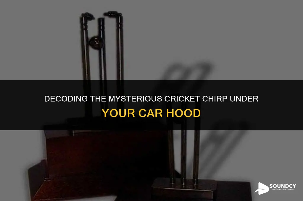 what causes a cricket sound under your car hood